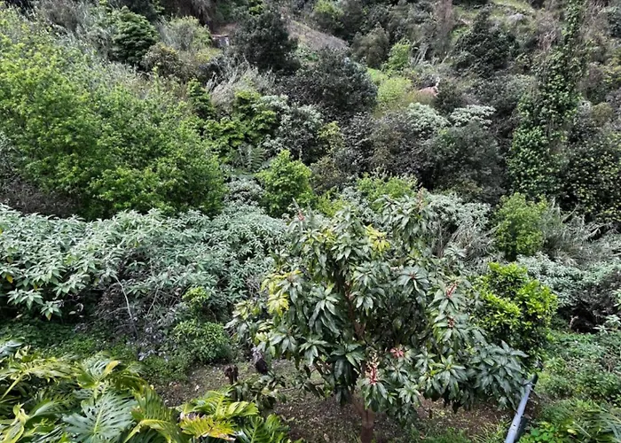 Casa Duque In With Ac And Heating Σπίτι διακοπών *